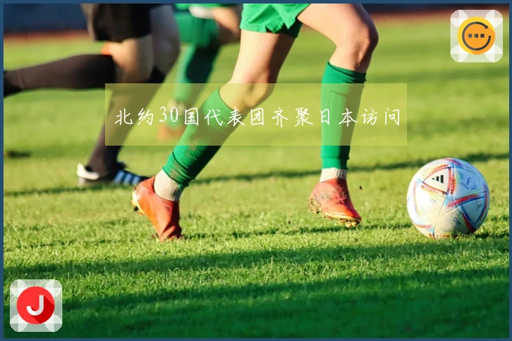 北约30国代表团齐聚日本访问